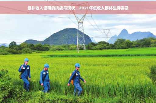 低补收入证明的挑战与现状，2021年低收入群体生存实录
