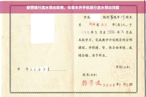 新疆银行流水导出指南，乌鲁木齐手机银行流水导出详解
