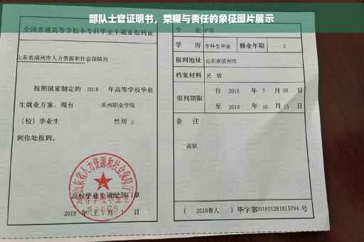 部队士官证明书，荣耀与责任的象征图片展示