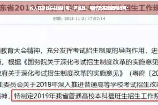 收入证明提供担保详解，有效性、解读及实际应用指南?