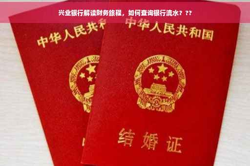 兴业银行解读财务旅程，如何查询银行流水？??