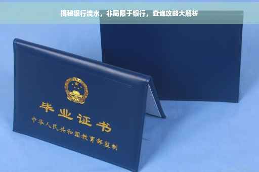揭秘银行流水，非局限于银行，查询攻略大解析
