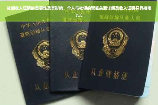 社保收入证明的重要性及其影响，个人与社保的紧密关联详解及收入证明开具指南?⚡️