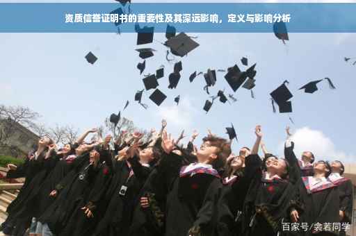 资质信誉证明书的重要性及其深远影响，定义与影响分析