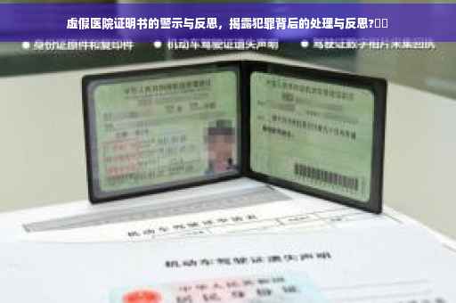 虚假医院证明书的警示与反思，揭露犯罪背后的处理与反思?⚡️