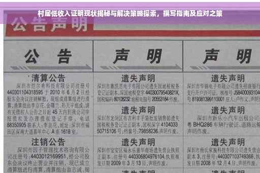 村居低收入证明现状揭秘与解决策略探索，撰写指南及应对之策
