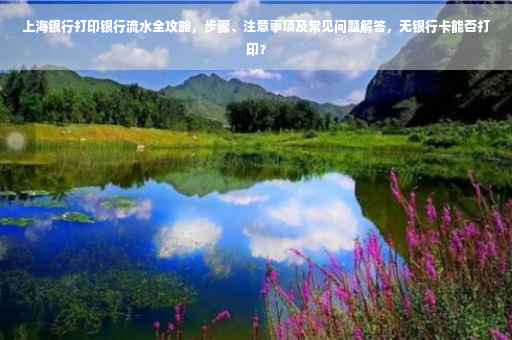 上海银行打印银行流水全攻略，步骤、注意事项及常见问题解答，无银行卡能否打印？