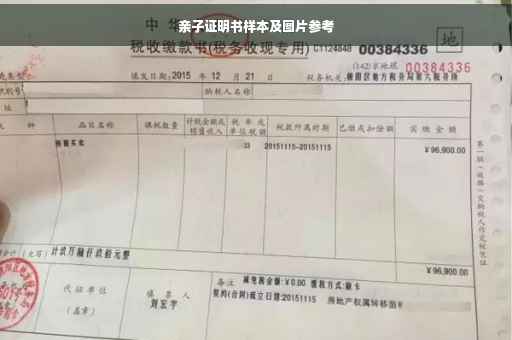 亲子证明书样本及图片参考