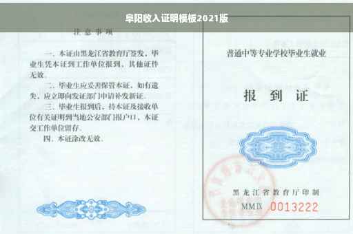 阜阳收入证明模板2021版
