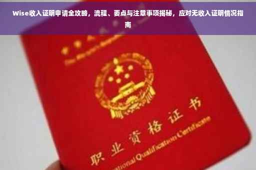Wise收入证明申请全攻略，流程、要点与注意事项揭秘，应对无收入证明情况指南