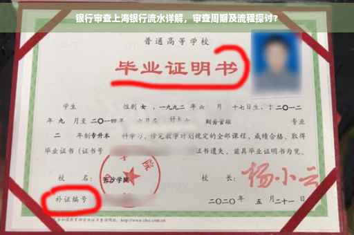 银行审查上海银行流水详解，审查周期及流程探讨?
