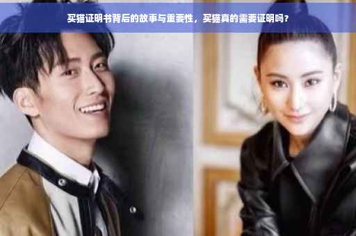 买猫证明书背后的故事与重要性，买猫真的需要证明吗？