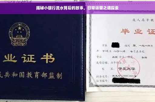 揭秘小银行流水背后的故事，日常运营之道探索