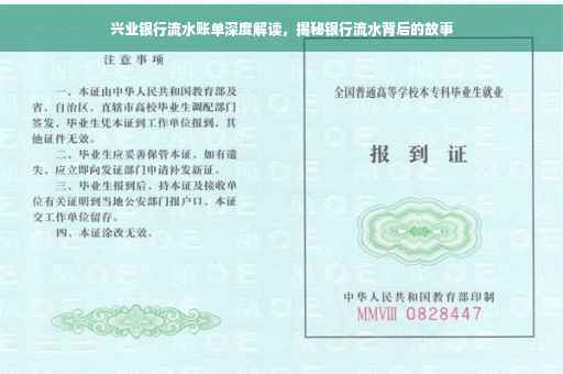 兴业银行流水账单深度解读，揭秘银行流水背后的故事