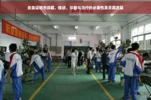 贫血证明书详解，症状、诊断与治疗的必要性及开具流程