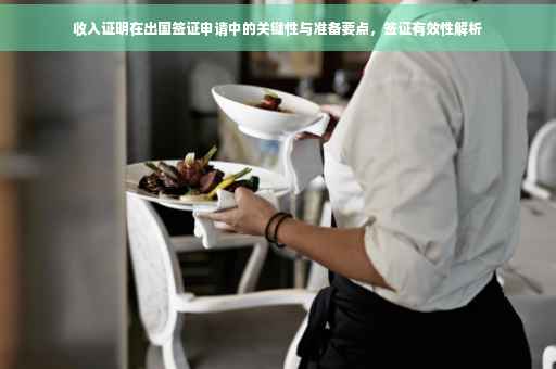 收入证明在出国签证申请中的关键性与准备要点，签证有效性解析