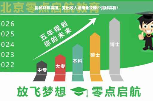 揭秘财务真相，支出收入证明全攻略??揭秘真相！