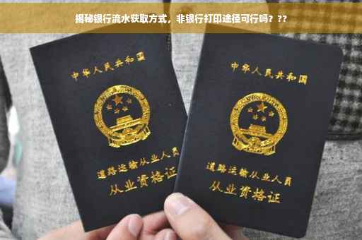 揭秘银行流水获取方式，非银行打印途径可行吗？??