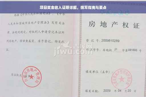 项目奖金收入证明详解，撰写指南与要点