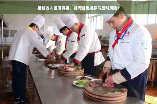 揭秘收入证明真相，如何避免揭穿与应对风险？