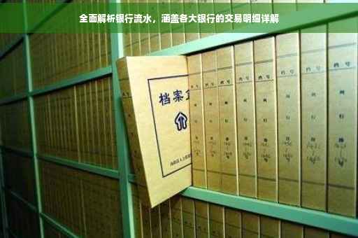 全面解析银行流水，涵盖各大银行的交易明细详解