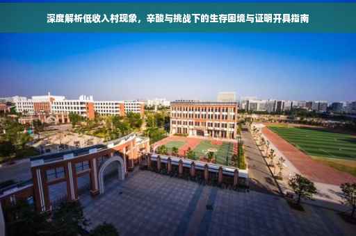 深度解析低收入村现象，辛酸与挑战下的生存困境与证明开具指南