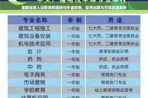 美国低收入证明真相揭秘与申请指南，探寻出路与开具流程解析