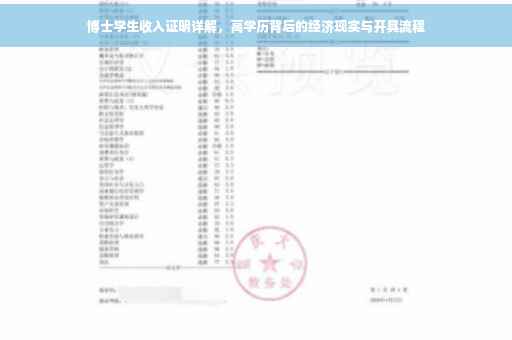 博士学生收入证明详解，高学历背后的经济现实与开具流程