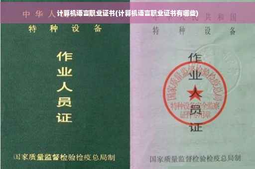 计算机语言职业证书(计算机语言职业证书有哪些)