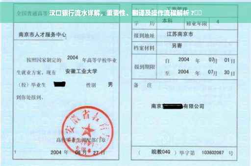汉口银行流水详解，重要性、翻译及操作流程解析 ?⚡️