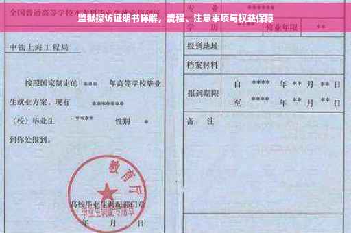 监狱探访证明书详解，流程、注意事项与权益保障