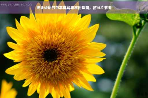 终止证明书范本详解与应用指南，附图片参考