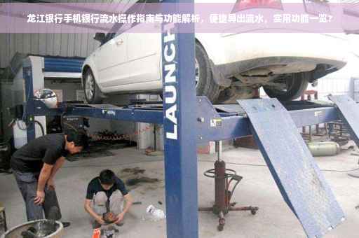 龙江银行手机银行流水操作指南与功能解析，便捷导出流水，实用功能一览?