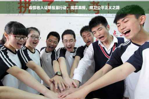 虚假收入证明报案行动，揭露真相，捍卫公平正义之路