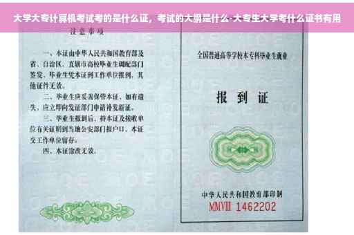 大学大专计算机考试考的是什么证，考试的大纲是什么-大专生大学考什么证书有用