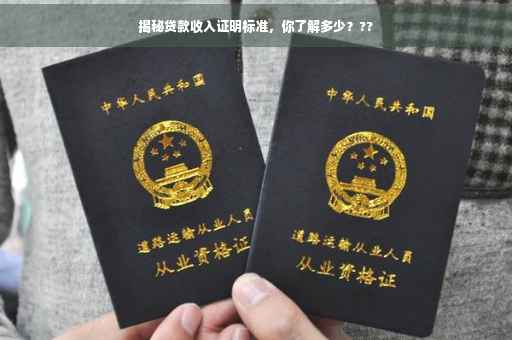 揭秘贷款收入证明标准，你了解多少？??