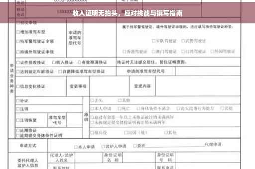 收入证明无抬头，应对挑战与撰写指南