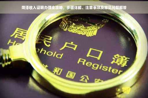 菏泽收入证明办理全攻略，步骤详解、注意事项及常见问题解答
