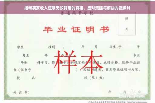 揭秘买家收入证明无效背后的真相，应对策略与解决方案探讨