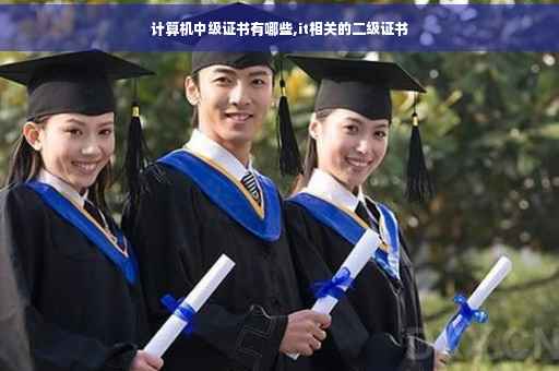 计算机中级证书有哪些,it相关的二级证书