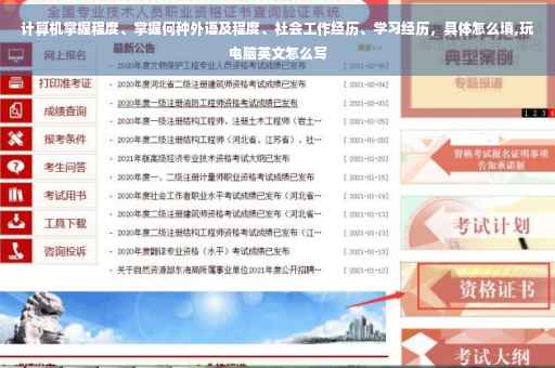 计算机掌握程度、掌握何种外语及程度、社会工作经历、学习经历，具体怎么填,玩电脑英文怎么写