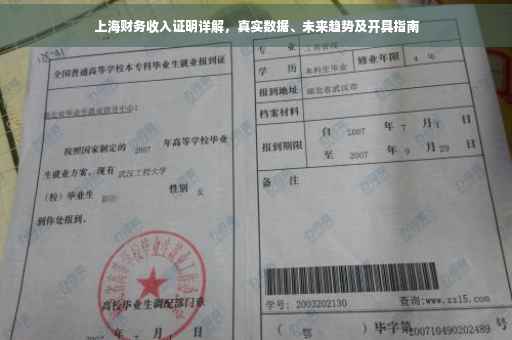 上海财务收入证明详解，真实数据、未来趋势及开具指南