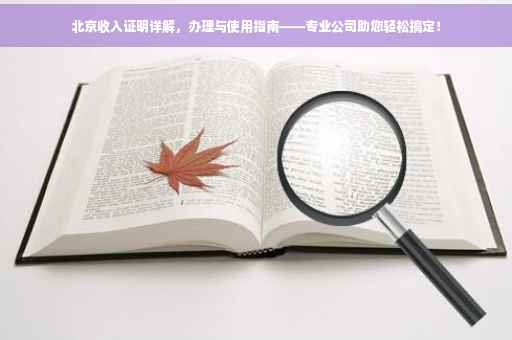北京收入证明详解，办理与使用指南——专业公司助您轻松搞定！