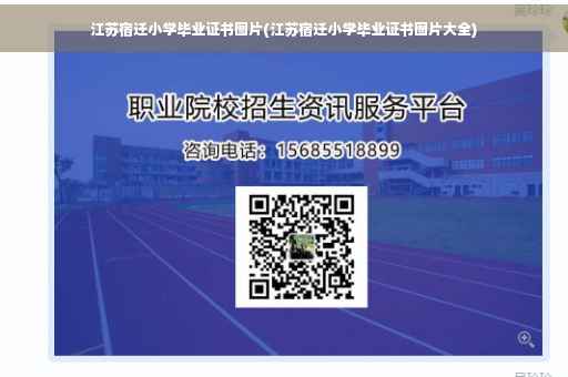 江苏宿迁小学毕业证书图片(江苏宿迁小学毕业证书图片大全)