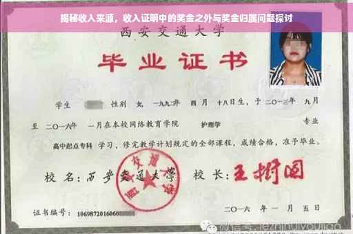 揭秘收入来源，收入证明中的奖金之外与奖金归属问题探讨