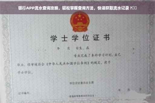 银行APP流水查询攻略，轻松掌握查询方法，快速获取流水记录 ?⚡️