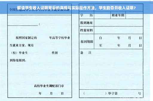 解读学生收入证明背后的真相与实际操作方法，学生能否开收入证明？