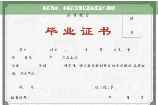 银行流水，多银行交易记录的汇总与解读