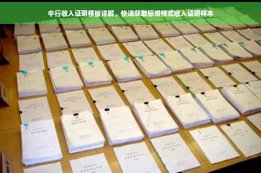中行收入证明模板详解，快速获取标准格式收入证明样本