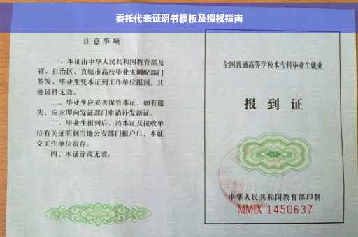 委托代表证明书模板及授权指南